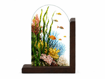 Scale or packaging view for the ocean coral reef bookend set